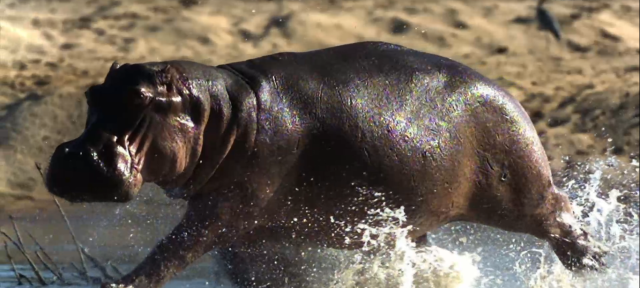 生命脈動 第一季 線上看