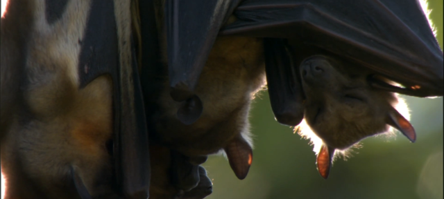 生命脈動 第一季 線上看