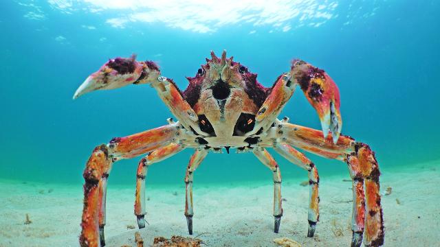 深海間諜 第一季 線上看