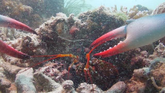 深海間諜 第一季 線上看