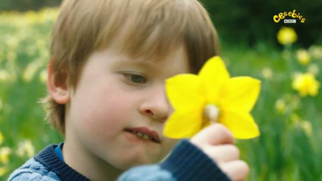 天線寶寶 第一季 第79集