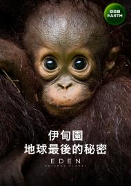 伊甸園：地球最後的秘密