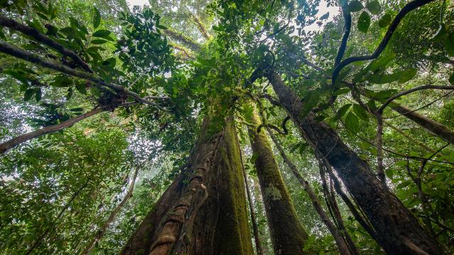 伊甸園：地球最後的秘密 第1集