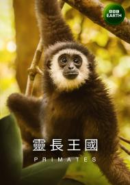 靈長王國