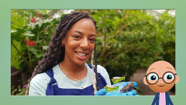 寵物與我：迷你小生物 第二季 第7集