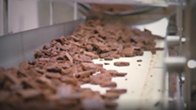 超級工廠的秘密 第二季 線上看