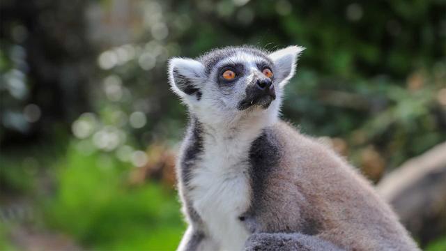 史提夫與阿尼希瓦趣野外 第一季 第1集