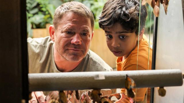 史提夫與阿尼希瓦趣野外 第一季 第19集