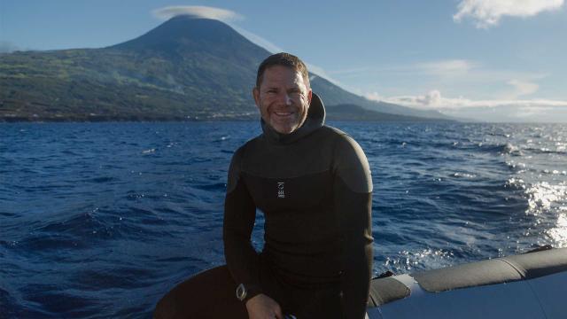 史提夫勇闖鯨豚王國 線上看