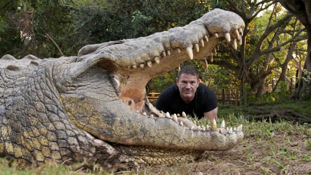 史提夫勇闖鱷魚王國 線上看