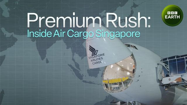 新加坡空運大解密