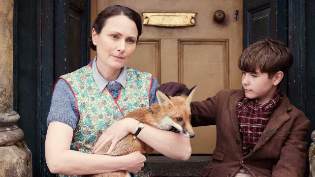 菜鳥獸醫日記 第五季 第7集