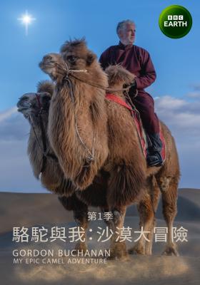 駱駝與我：沙漠大冒險