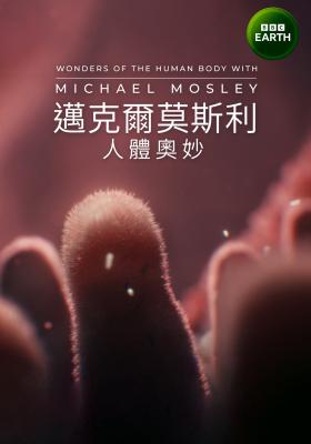 邁克爾莫斯利：人體奧妙