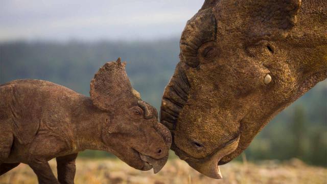 與恐龍共舞 線上看