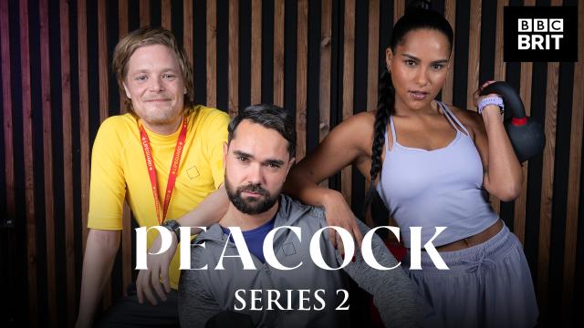 孔雀皮考克 第二季