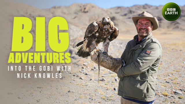 尼克前進戈壁沙漠 第一季