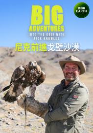 尼克前進戈壁沙漠 第一季