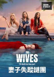 妻子失蹤謎團