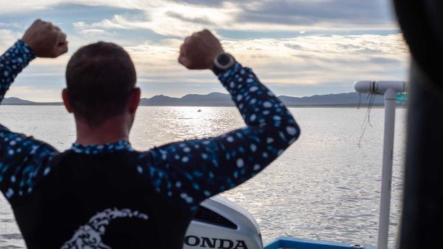 全球動物冒險王 第五季 第11集