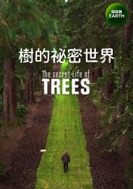 樹的祕密世界