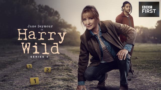 哈莉懷爾德 第四季