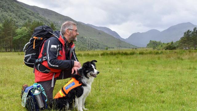 狗狗幫大忙 第一季 線上看