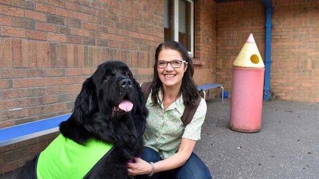 狗狗幫大忙 第一季 線上看