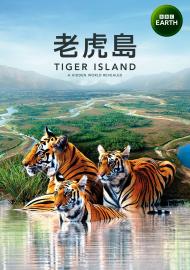 老虎島 第一季