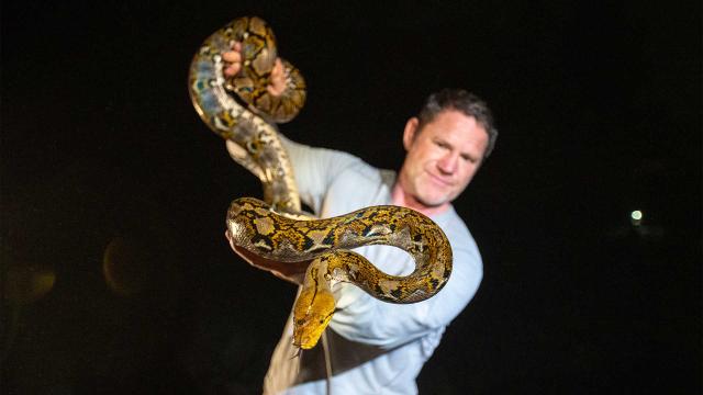 全球動物冒險王 第七季 線上看