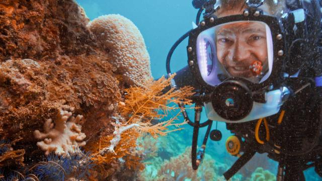 全球動物冒險王 第七季 線上看