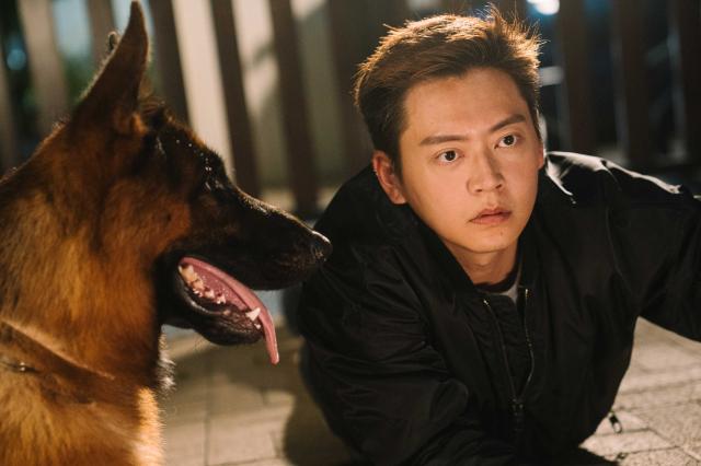 踩過界II 線上看