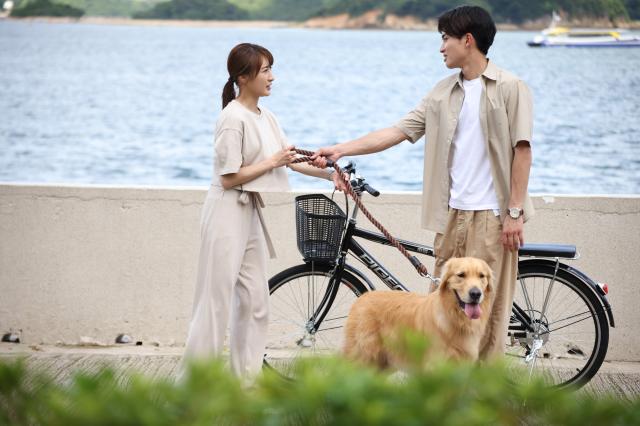 寵愛Pet Pet 線上看