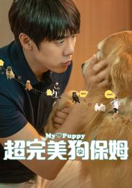 超完美狗保姆