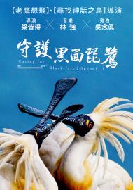 守護黑面琵鷺