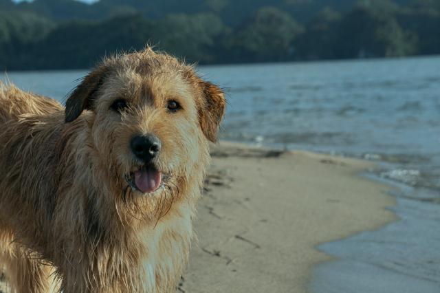 極限長征劇照 5