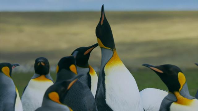 世界島嶼 第8集