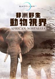 非洲野生動物視界