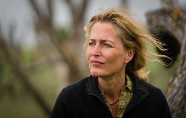 鹽路上有你劇照 3