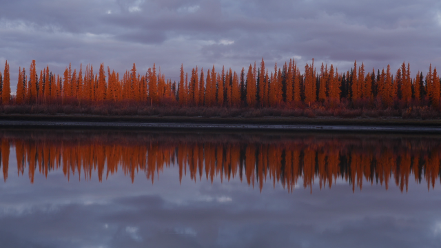 荒野求生500天劇照 4