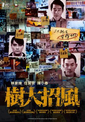 樹大招風