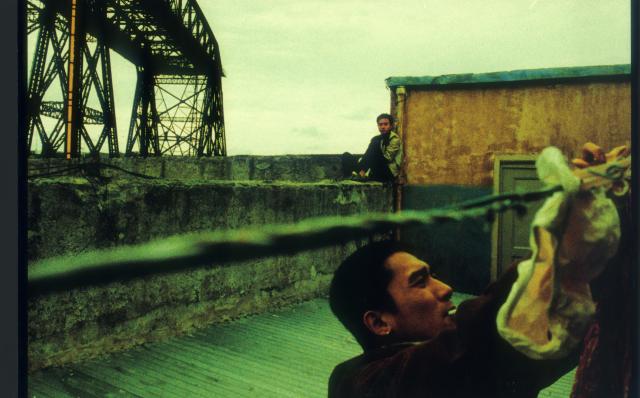 春光乍洩 4K修復劇照 4