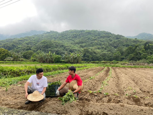 咱的城 咱的市 咱台灣的味 線上看