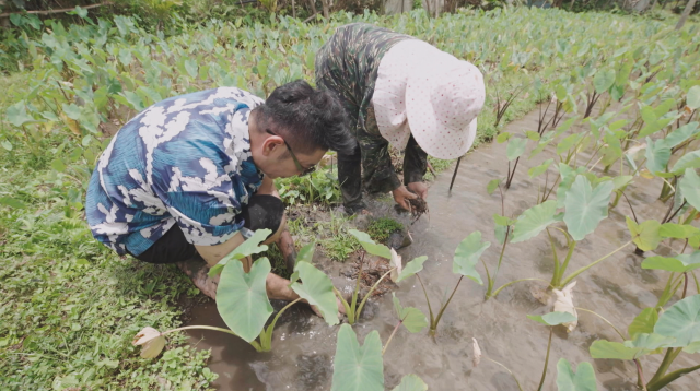 咱的城 咱的市 咱台灣的味 線上看