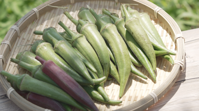 咱的城 咱的市 咱台灣的味 線上看