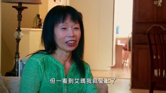 貓咪救援隊 第一季 第16集