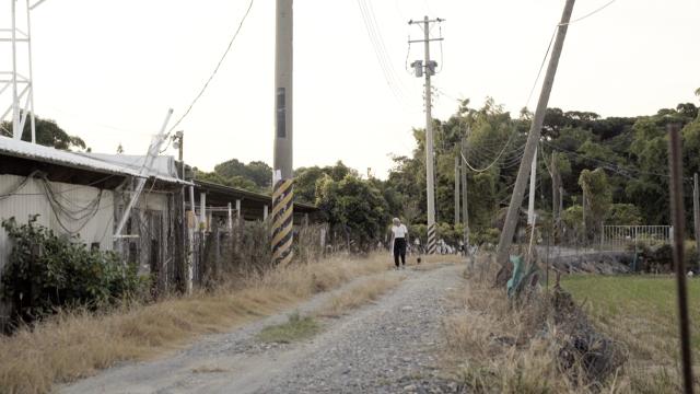 共生流浪預告片 01