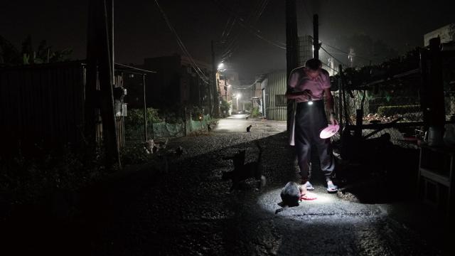 共生流浪劇照 3