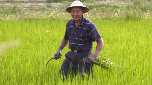 憨地主預告片 01