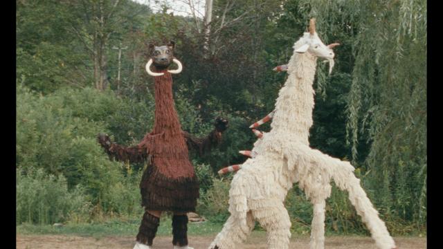 珍妮的內心世界劇照 5